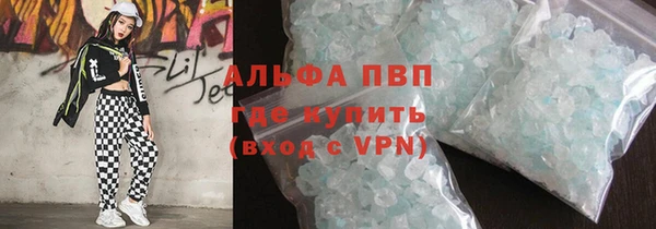 прущие грибы Елабуга