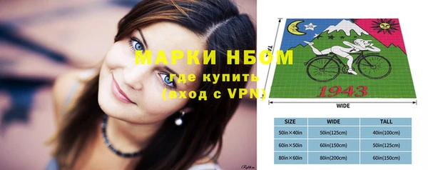 метадон Елизово
