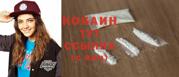 метадон Елизово