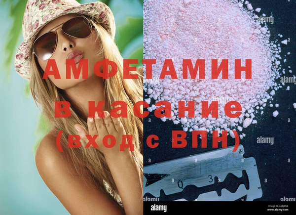 прущие грибы Елабуга