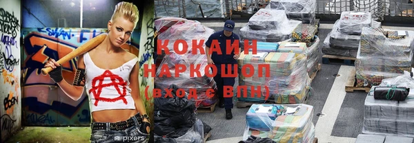 прущие грибы Елабуга