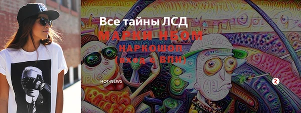 прущие грибы Елабуга