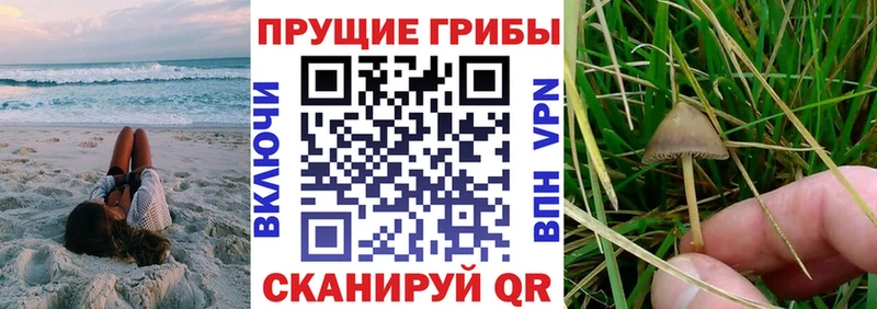 Галлюциногенные грибы мицелий  Севск 